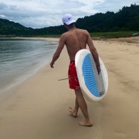 aodonkey (@aodonkey) 's Twitter Profile