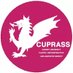 Cardiff Plastic Surgery Society (@cuplasticsurg) Twitter profile photo Cardiff Plastic Surgery Society (@cuplasticsurg) Twitter profile photo