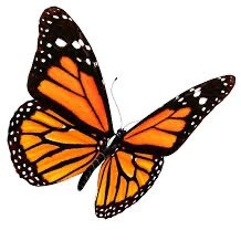 Founded in 2005. Mission: To improve quality of life from diagnosis to dying and grieving.