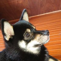 taka (@_badtaka) 's Twitter Profile