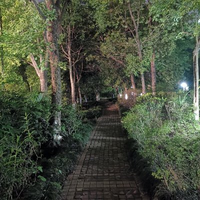 JamesLi90352853's profile picture. 好