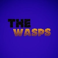 The Wasps (@riftyvoid) 's Twitter Profile Photo The Wasps (@riftyvoid) 's Twitter Profile Photo