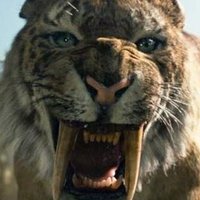 Smilodon 😸😸😸(@Hawoks) 's Twitter Profile Photo