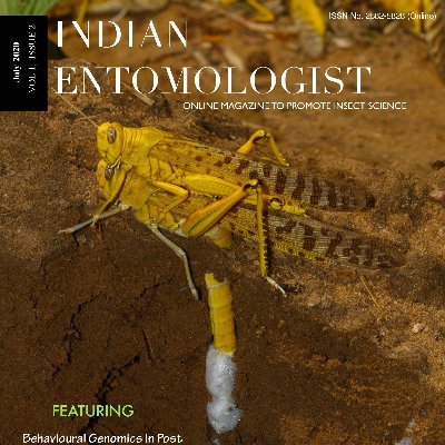 ​Online Magazine to Promote Insect Science and Technology
