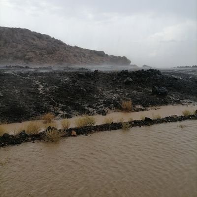 Zxjjjjjjjj's profile picture. ‏لااله الا انت سبحانك اني كنت من الظالمين
#طقس #ينبع