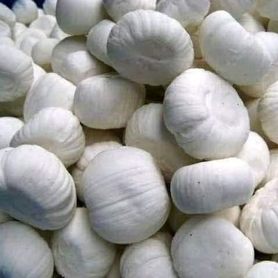 MdSopon38989896's profile picture. 