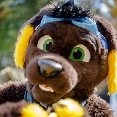 @Woger_Dog