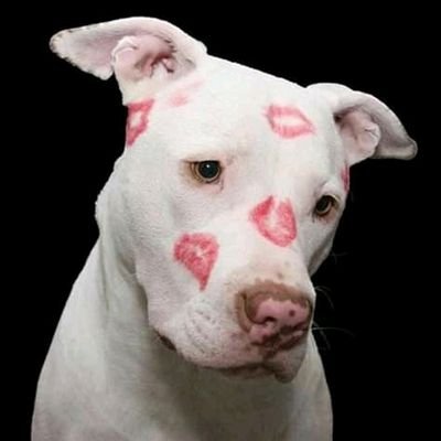 Glo602's profile picture. 