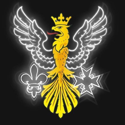 Imperial College Radiology Society Profile