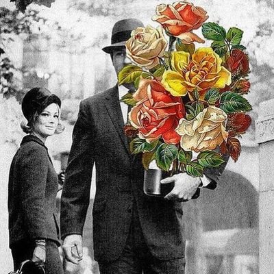 GulaColemergee's profile picture. Zozan Zozan Zozan le le Zozan