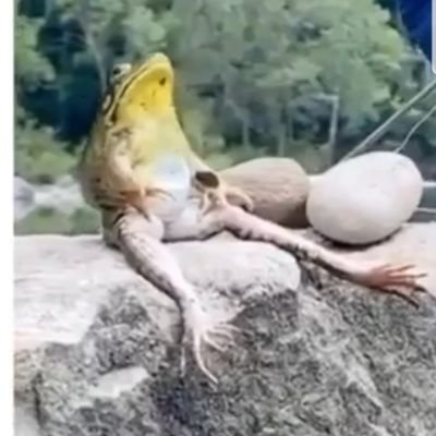 trevorwambold's profile picture. Life's simple. You make choices and you don't look back.
snapchat: trevorwambold15