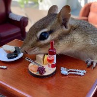 Tales From Willowbank (@chippywillow) 's Twitter Profile