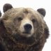 mikesyl69 (@bearsyl69) Twitter profile photo mikesyl69 (@bearsyl69) Twitter profile photo