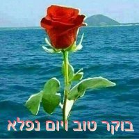 שי אבי (@49d728bbdb6844b) 's Twitter Profile