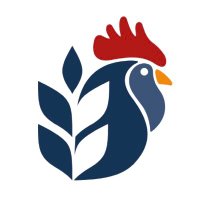 Harry middleditch (@middleditchfms) 's Twitter Profile