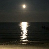Gary Barnes (@garybar42550853) 's Twitter Profile