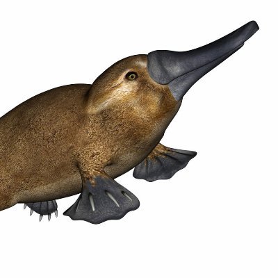 WuTangRiza's profile picture. meep