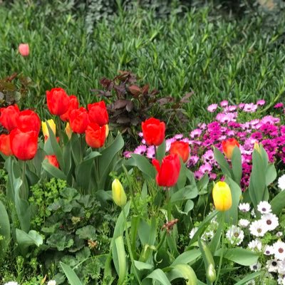 heididang's profile picture. 