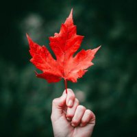 Fall 🍁 (@seasonaivibes) 's Twitter Profile Photo Fall 🍁 (@seasonaivibes) 's Twitter Profile Photo