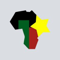 Africa Elects (@africaelect) Twitter profile photo