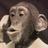 rock_stock1123's profile image