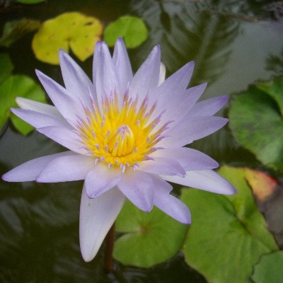 LongstayA's profile picture. アジアにて、笑える瞬間を探しています。
心まで貧しくならないようにツイッターをやっています。
私のツイートを見てもご利益はありません笑
ツイートは私の勝手な想像です。ご容赦ください。