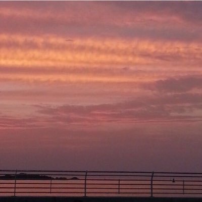 Nouf_A_Alosaimi's profile picture. خريجة إدارة الخدمات الصحية و المستشفيات