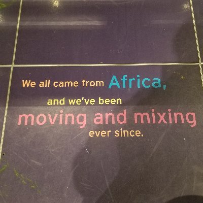 KnowledgeDM's profile picture. Stay Positive