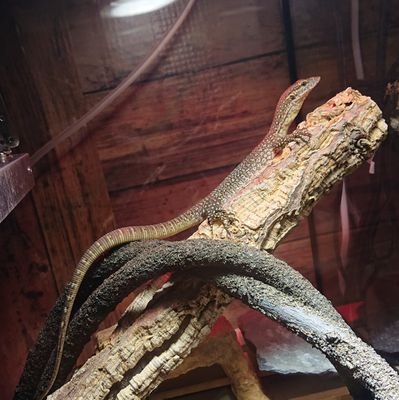 Dh8hKDlLPXrrEJD's profile picture. 