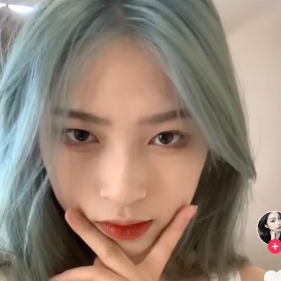 nevertrust881's profile picture. 娱乐