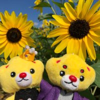 A子 (@baribarikun_811) Twitter profile photo