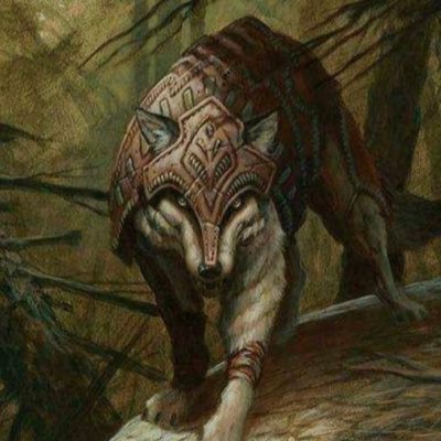 rryan_garey's profile picture. 