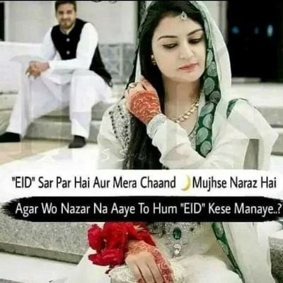 Mohamma98438201's profile picture. disti