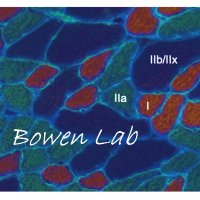 Bowen lab(@LabBowen) 's Twitter Profileg