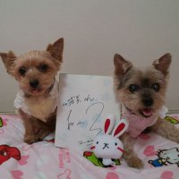 宏美 (@hiromi_takutaka) 's Twitter Profile Photo