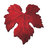 Beyerskloof's profile image