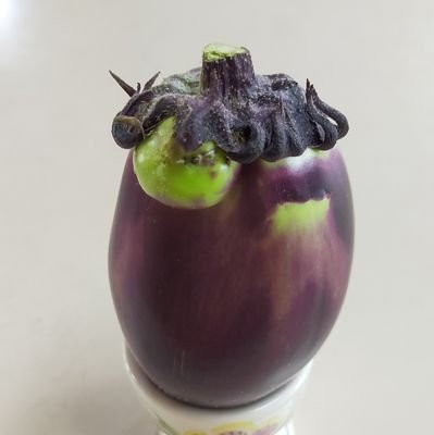 cojaさんのプロフィール画像