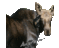 kuroking96's profile image