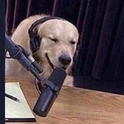 Not_Alejandr0's profile picture. 