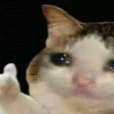 Sapnap57382634's profile picture. No one cares