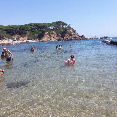 a_prou's profile picture. CONSELL PER LA REPÚBLICA 
Si ens inscribim massivament serà un primer pas efectiu per la INDEPENDÈNCIA. Feu-ho ja.
Si a algú li ve de 10 euros que m'ho digui.