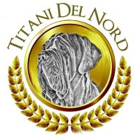 Titani Del Nord Neapolitan Mastiffs(@NordTitani) 's Twitter Profile Photo