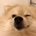 suzu... (@suzu_mcoc) Twitter profile photo suzu... (@suzu_mcoc) Twitter profile photo