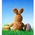 Easter Bunny - @JumpEasterBunny - Twitter