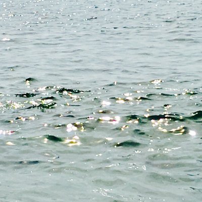 makhay16's profile picture. May the road rise to meet you !!!!✨🏄‍♂️💫