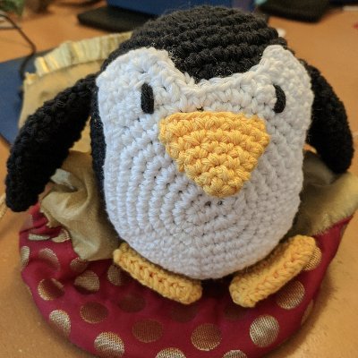 PunMonkey's profile picture. I used to pun here.  Now it's pretty much dormant.  #BlackLivesMatter #SlavaUkraine @joelmonkey@mastodon.lol