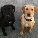 Micah James Werner - @mizzouwerner - Twitter