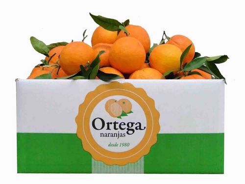 Somos de la comarca Camp del Túria y ofrecemos vía online las mejores naranjas y mandarinas de la huerta Valenciana.
http://t.co/WgXxyM3VNH