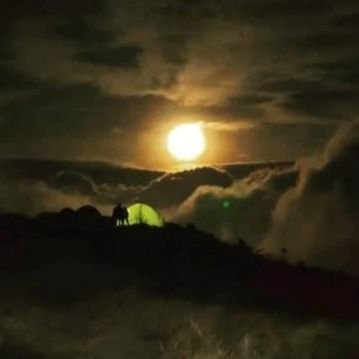 tomsboty's profile picture. i am adventure