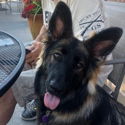 CrystalSellsSCV's profile picture. Living the good life 🥂